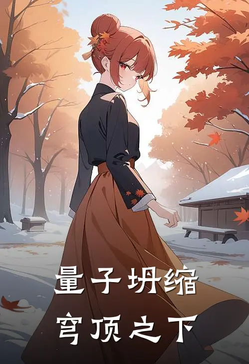 量子坍缩：穹顶之下